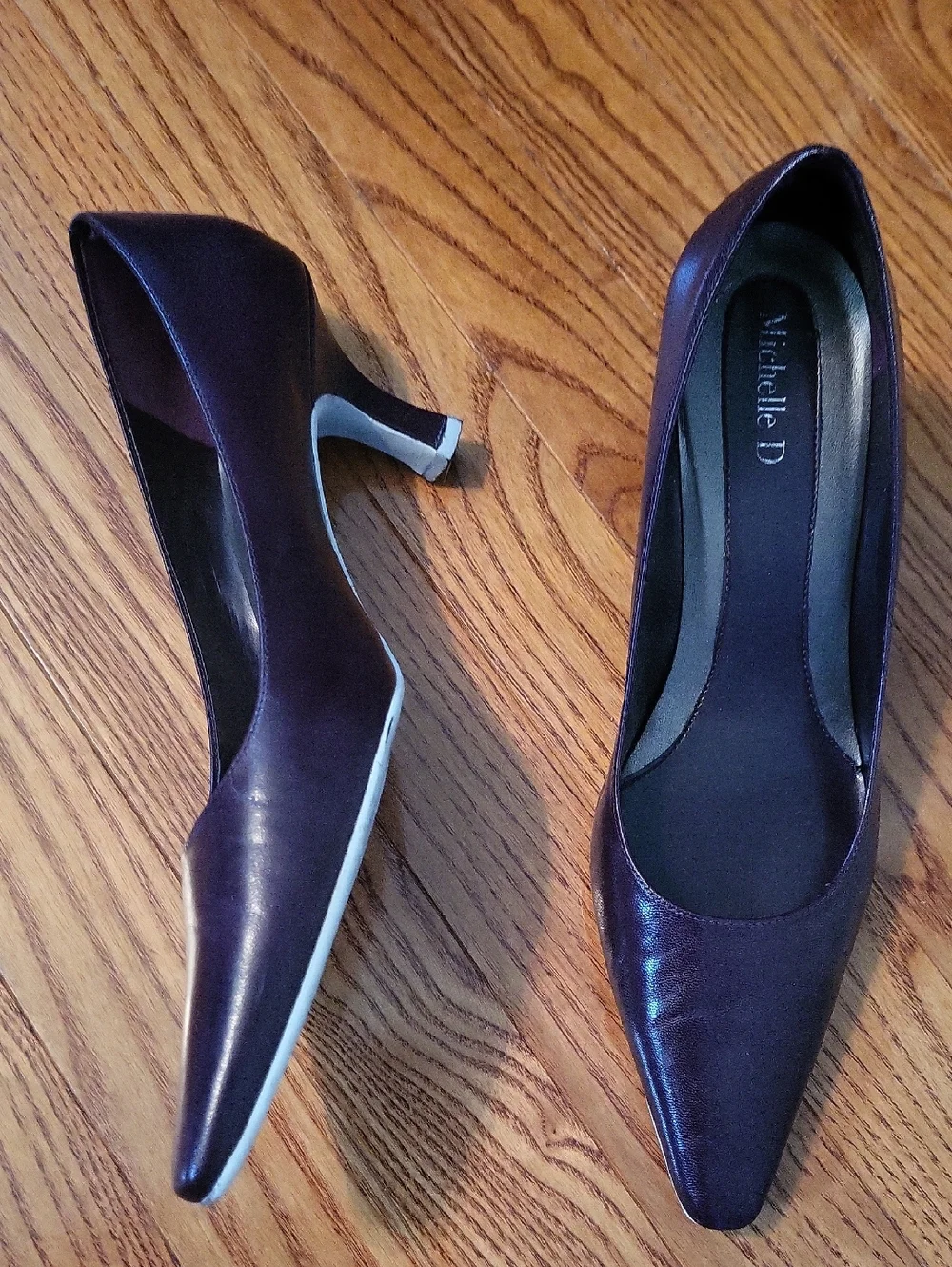 Michelle D Women's Pointed-Toe Pumps in Plum